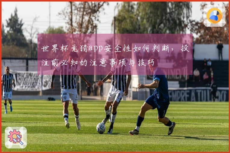 开云资讯图片：世界杯竞猜app安全性如何判断，投注前必知的注意事项与技巧