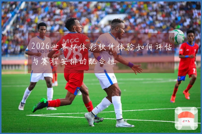 2026世界杯体彩软件体验如何评估与赛程安排的配合性
