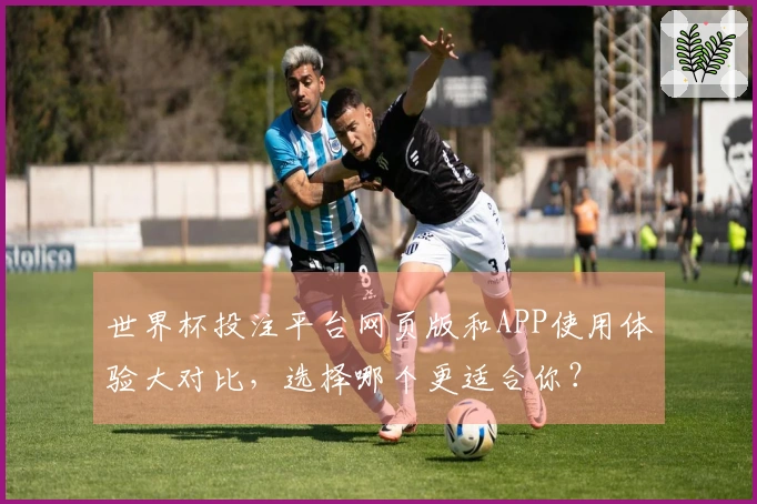 世界杯投注平台网页版和APP使用体验大对比，选择哪个更适合你？