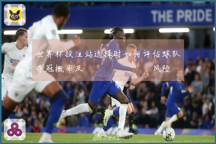 世界杯投注站选择时如何评估球队夺冠概率及เดิมพัน风险