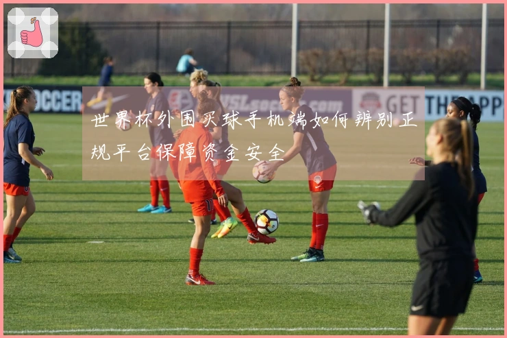 世界杯外围买球手机端如何辨别正规平台保障资金安全